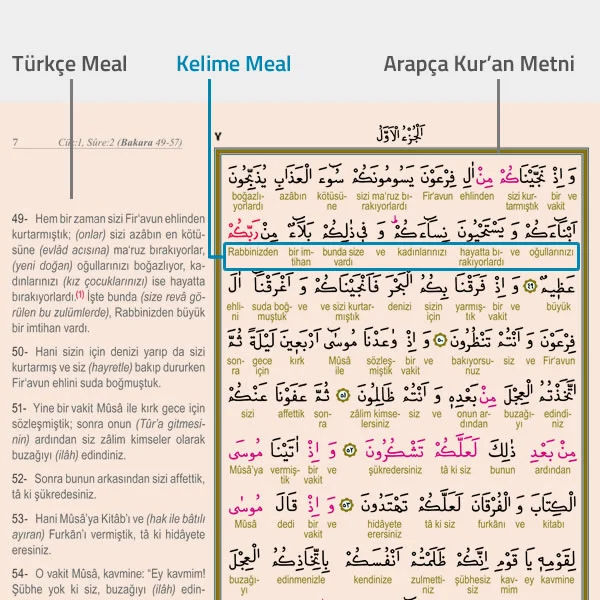 Kelime Mealli Kuran Sayfa Yapısı