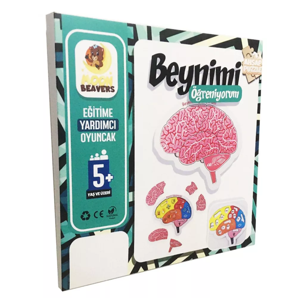 Beynimi Öğreniyorum Ahşap Puzzle (24x24 cm.) - Thumbnail