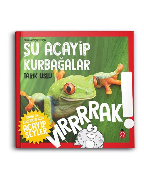 Daha da Küçükler İçin Şu Acayip Kurbağalar