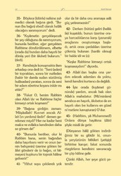Medium Size Velvet Bound Yasin Juz with Turkish Translation (Green, Embroidered) - Thumbnail